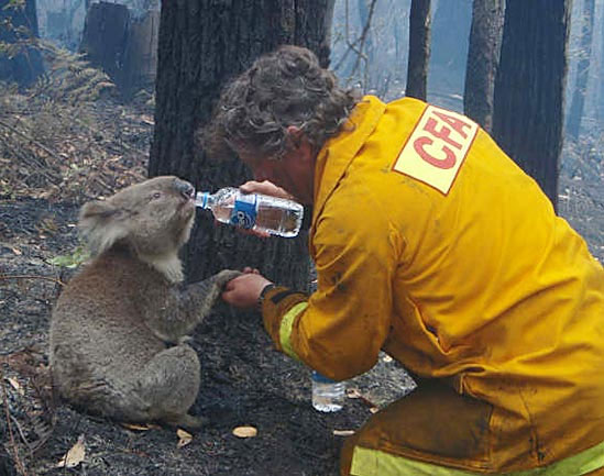Foto da frente de combate ao incêndio que devastou a Austrália